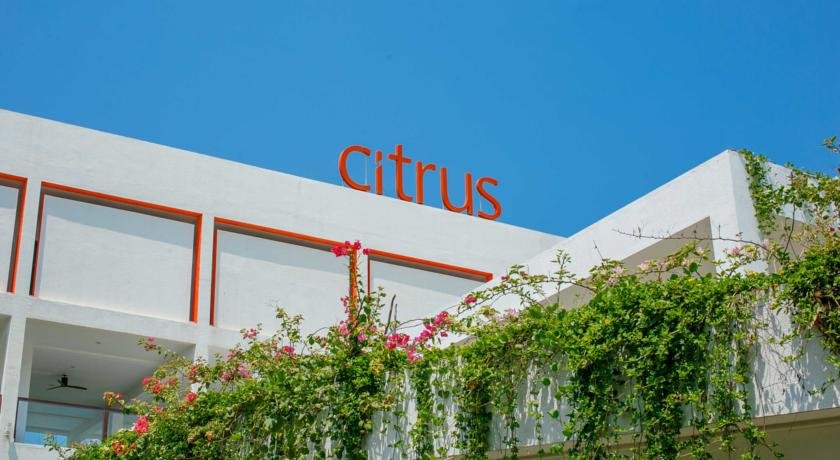 هتل سیتروس واسکادوا