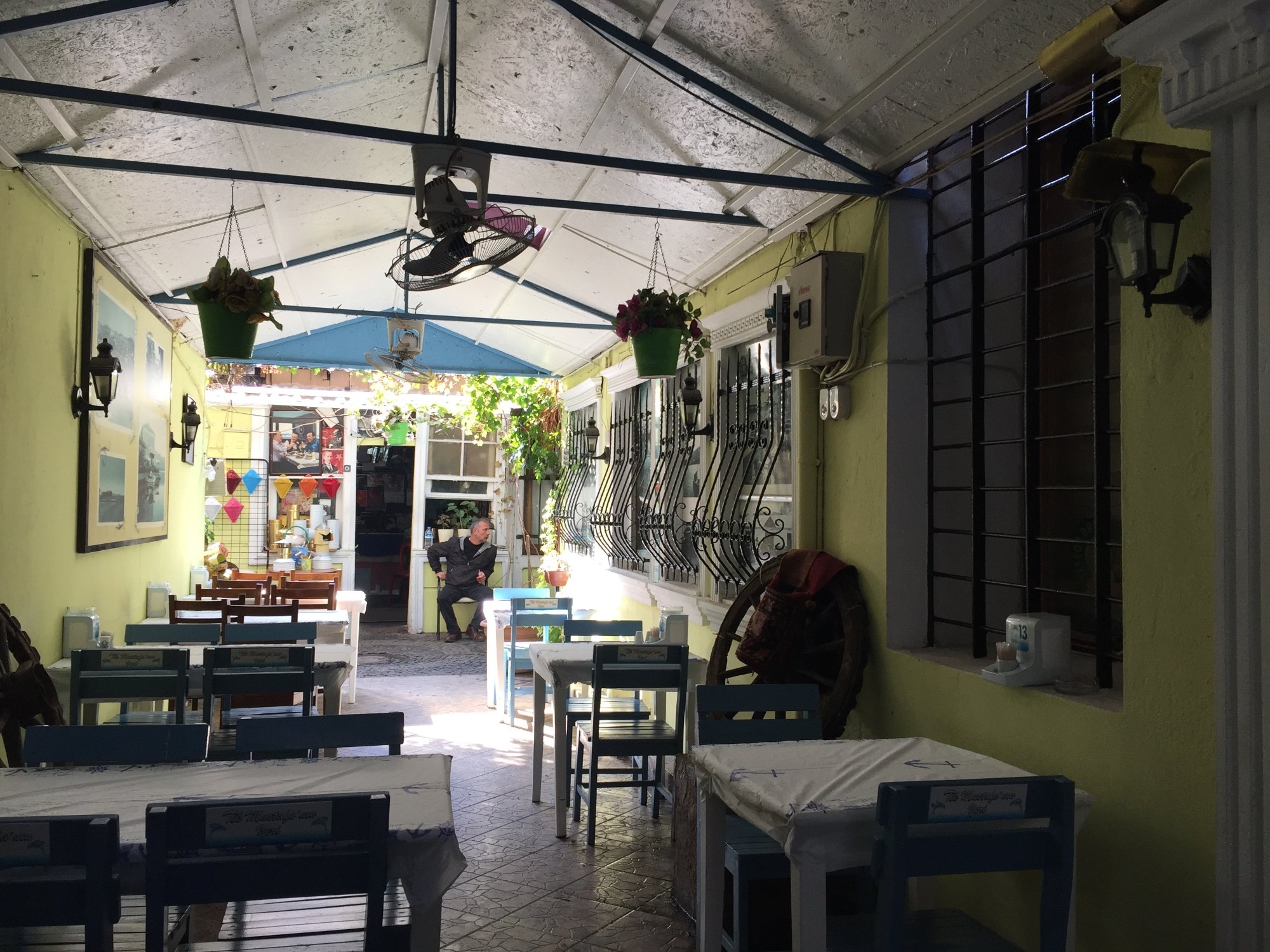 تیک مصطفی نین یری