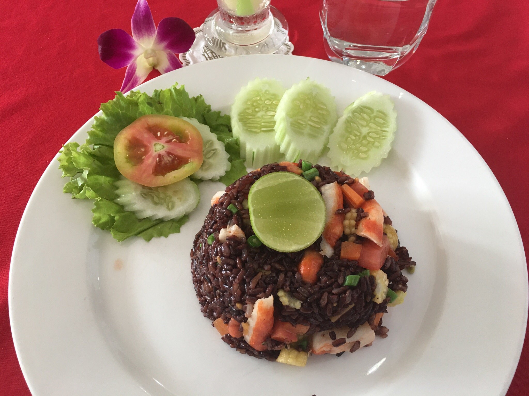 فایو استار جِی وجترین